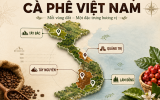 G20 VIETNAM - G20 Coffee