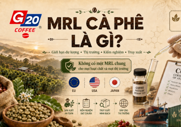 G20 VIETNAM - G20 Coffee