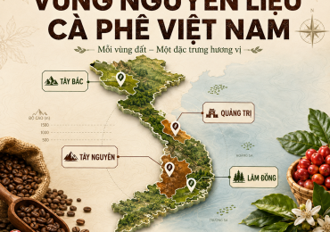 G20 VIETNAM - G20 Coffee