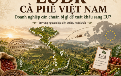 G20 VIETNAM - G20 Coffee