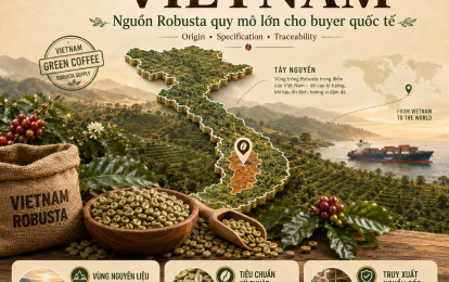 G20 VIETNAM - G20 Coffee