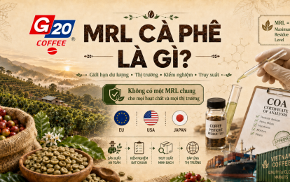 G20 VIETNAM - G20 Coffee