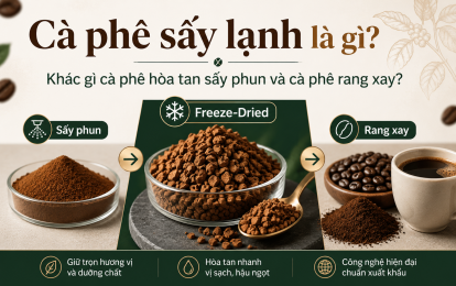 G20 VIETNAM - G20 Coffee