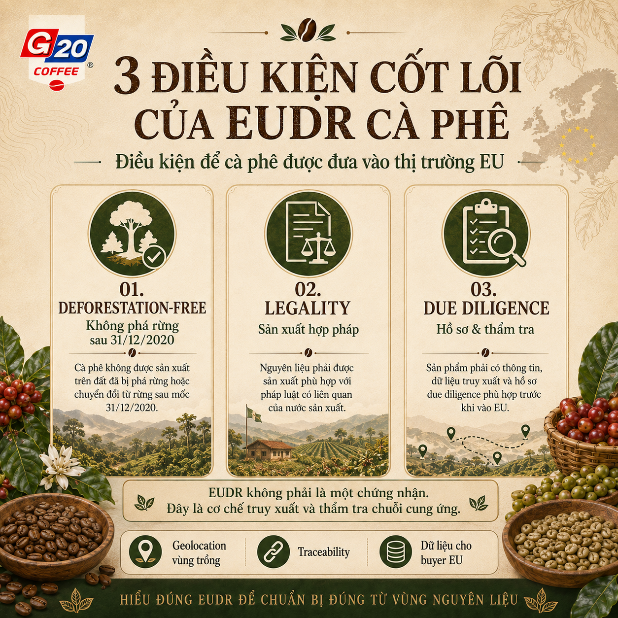 3-dieu-kien-eudr
