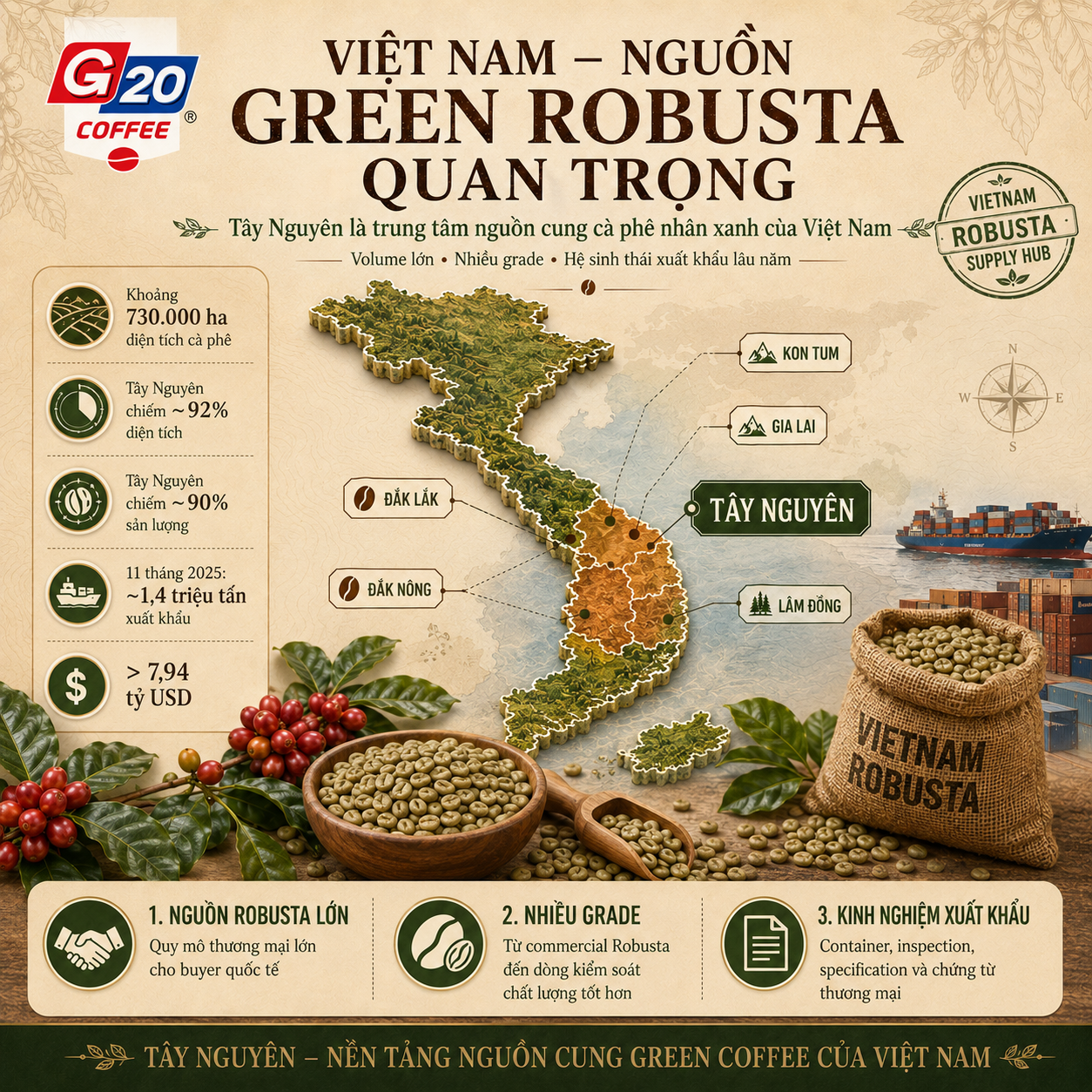 Vietnam Robusta green coffee beans