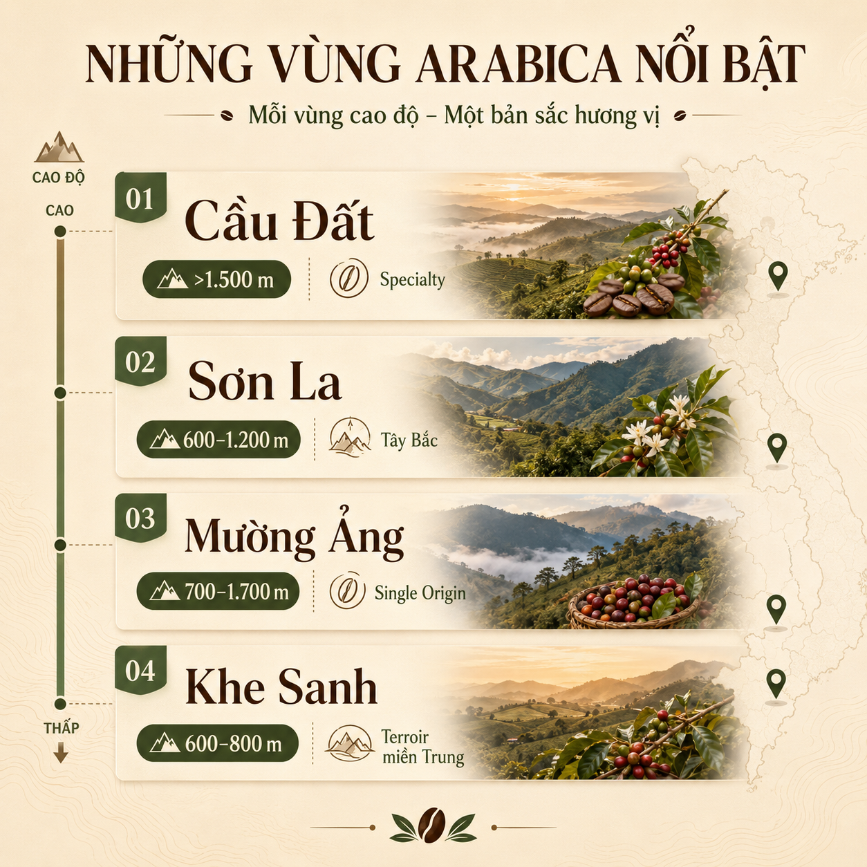 các vùng Arabica nổi bật Việt Nam Cầu Đất Sơn La Mường Ảng Khe Sanh