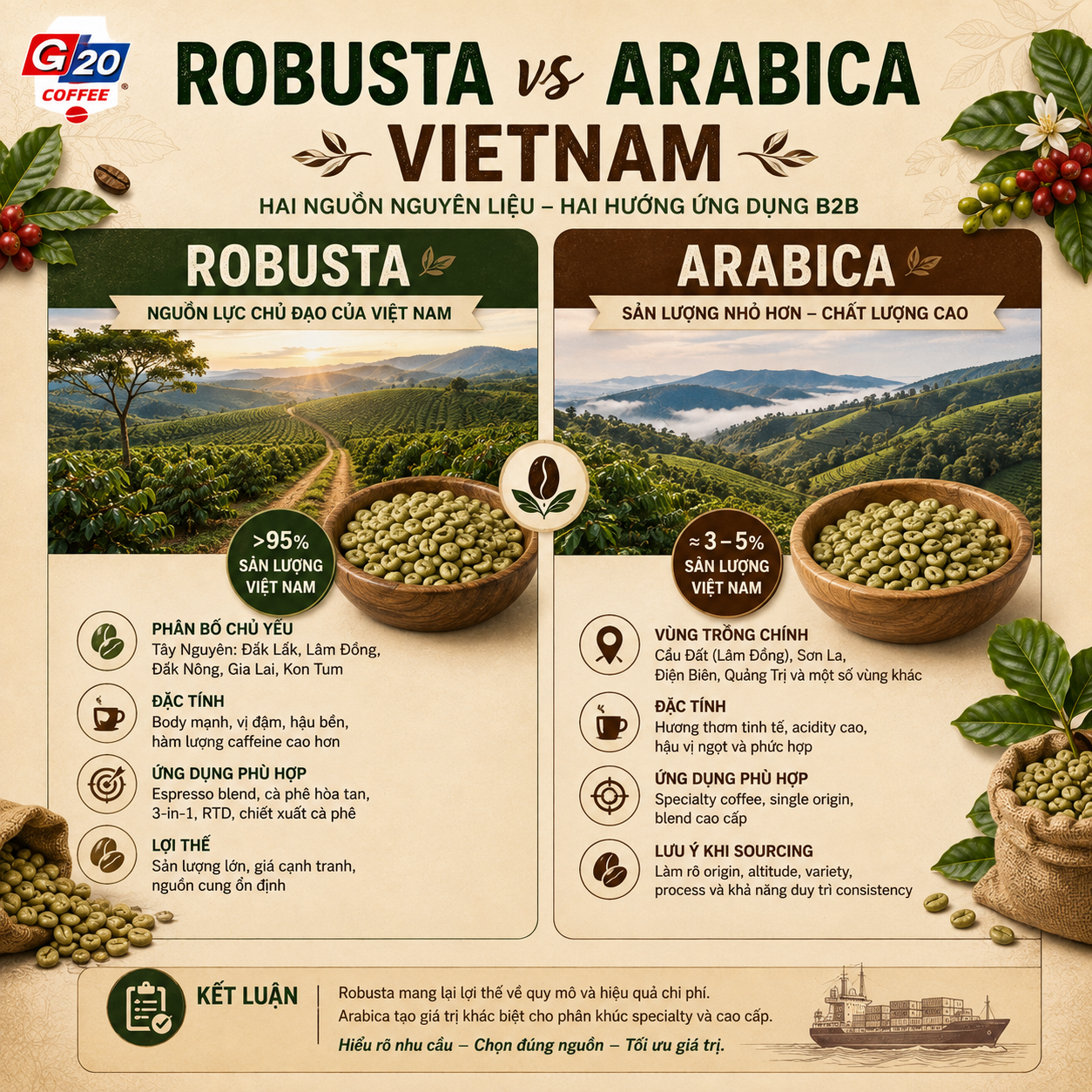 green Robusta and Arabica Vietnam