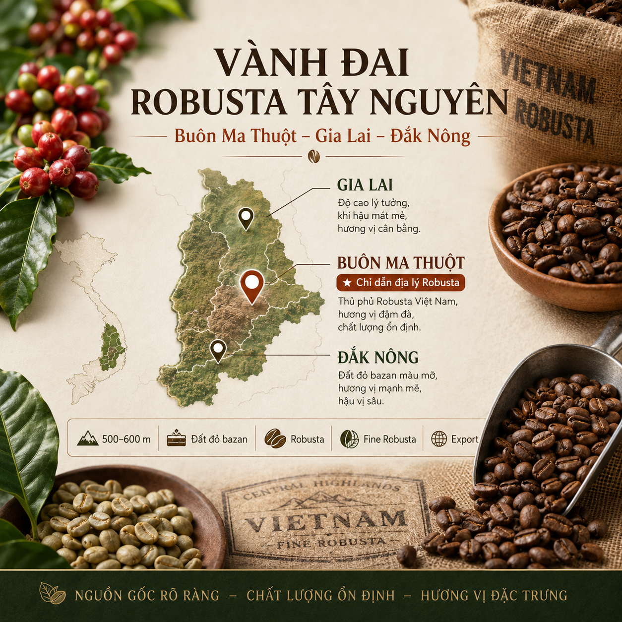 vành đai Robusta Tây Nguyên Buôn Ma Thuột Gia Lai Đắk Nông