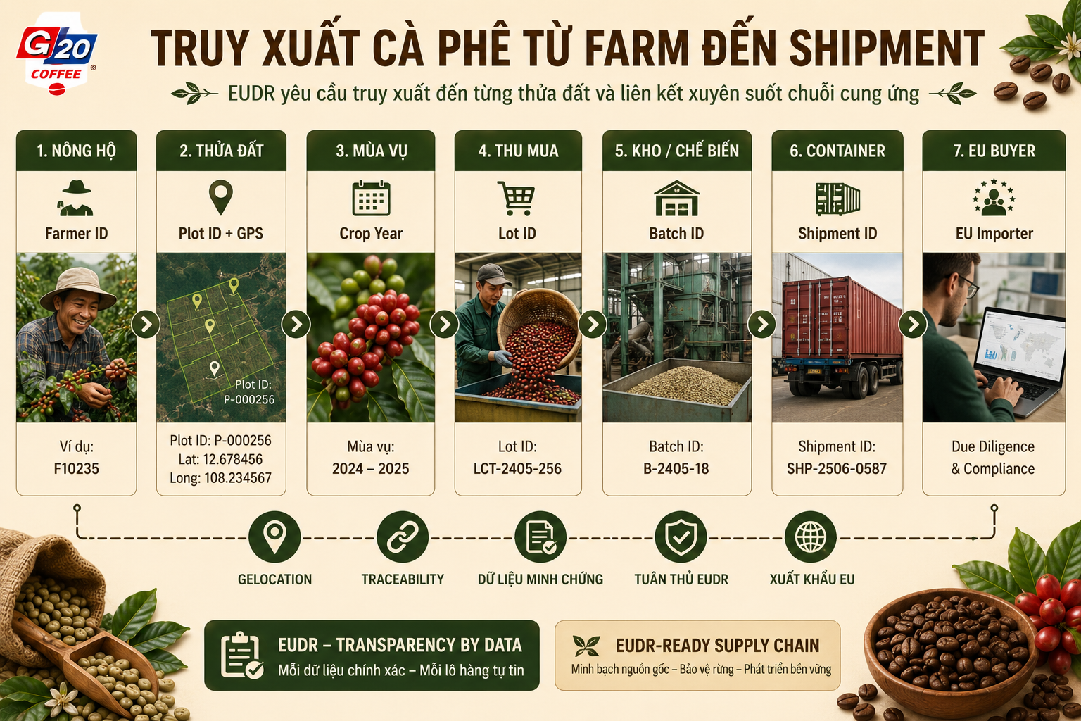 truy-xuat-ca-phe-eudr